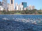 In the Swim - definitely NOT my strongest leg, but I was reasonably satisfied considering I could barely swim 50m just a few weeks beforehand