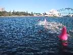 The start of our wave (with about 4000 competitors, 'waves' started every 5 minutes for over 3 hours!)