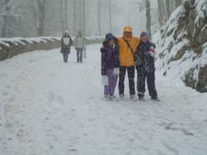 Walking back from Neuschwanstein Casstle