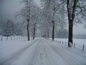 The road to Neuchwanstein Castle